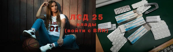 стаф Осташков