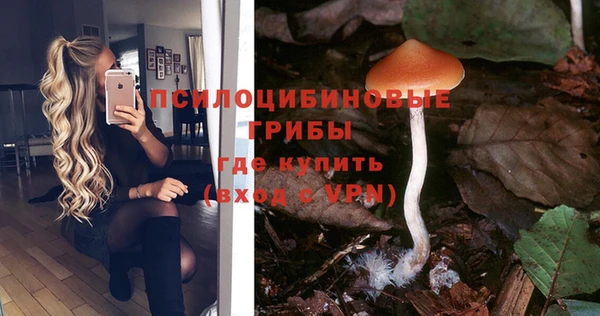 меф Осинники