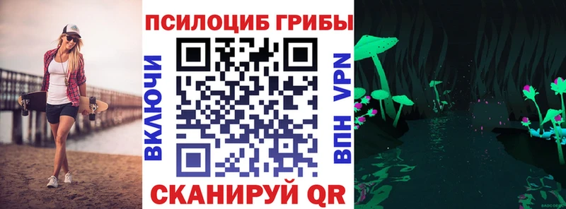 Псилоцибиновые грибы Psilocybe  Купить закладки  Торжок 